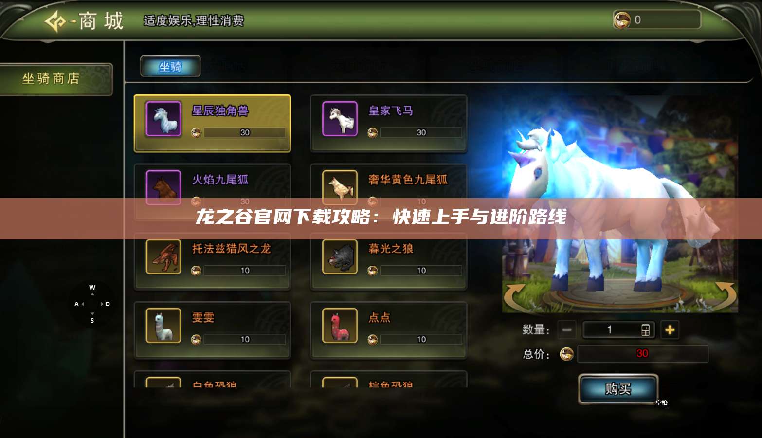 龙之谷官网下载攻略：快速上手与进阶路线  第1张